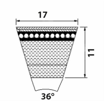 21446029
