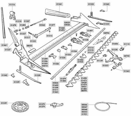 21446926