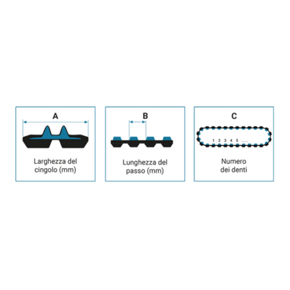 21453502
