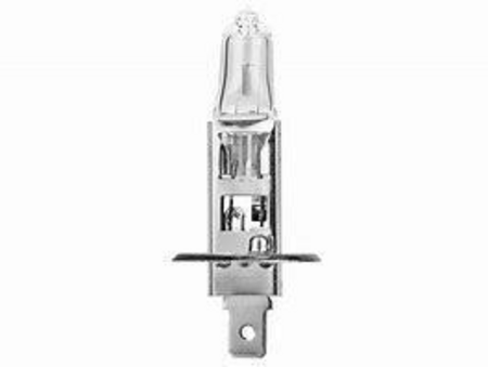 21458313