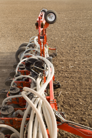 21468003