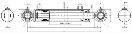 21484819