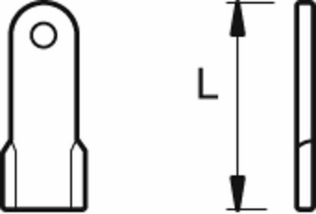 21487898