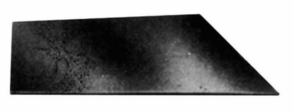 21490354