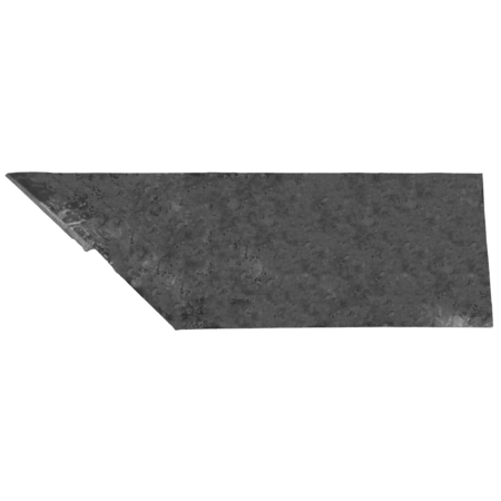 21490409