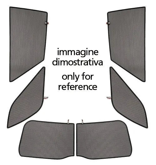 21523561