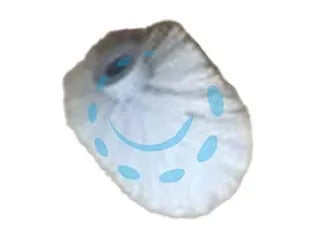 21660355