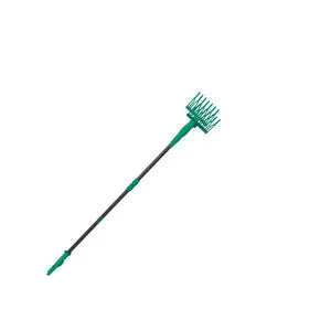 21818160