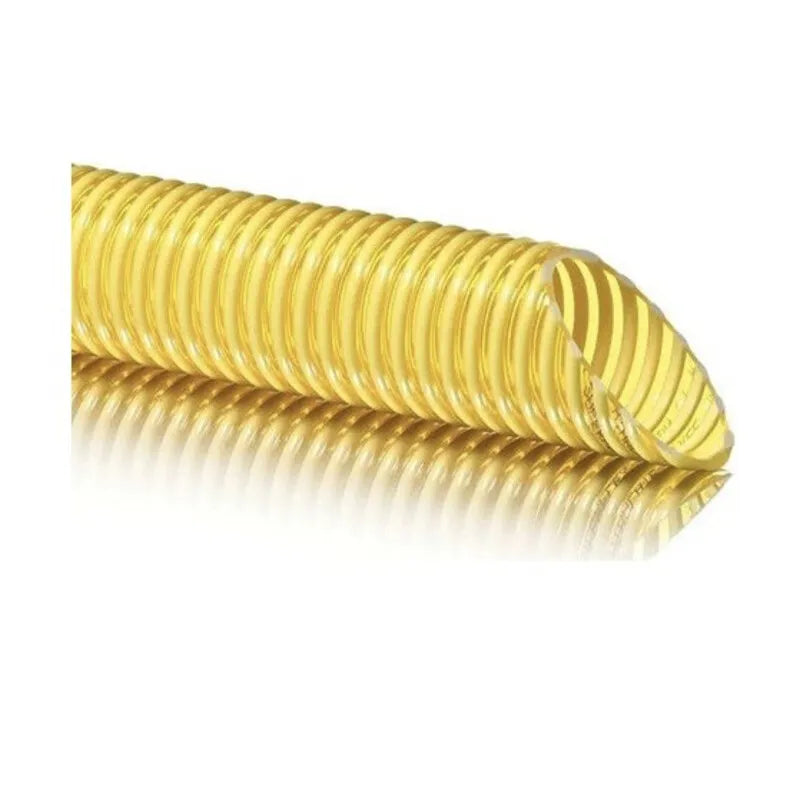 21818004