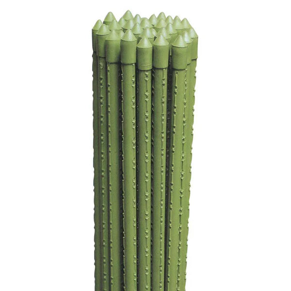 Tutore in bamboo plastificato cm. 210 d. 11 mm - 50 pz