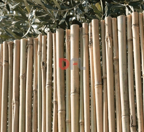 Arella in bamboo con canna passante - mod. Master  