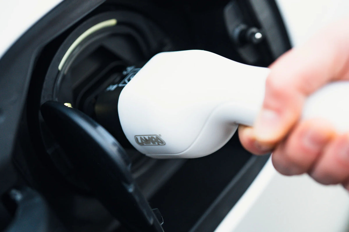 Carica batteria portatile per veicoli elettrici montato sul veicolo, vista 2