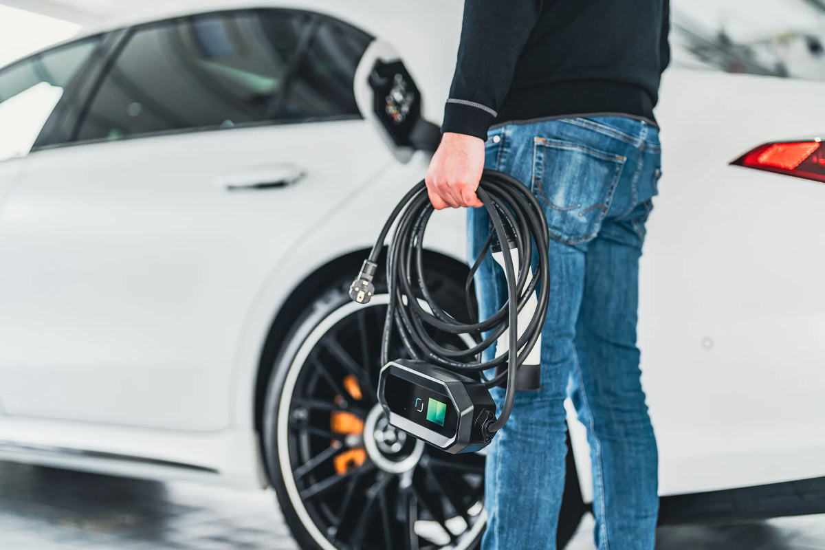 Carica batteria portatile per veicoli elettrici montato sul veicolo, vista 5