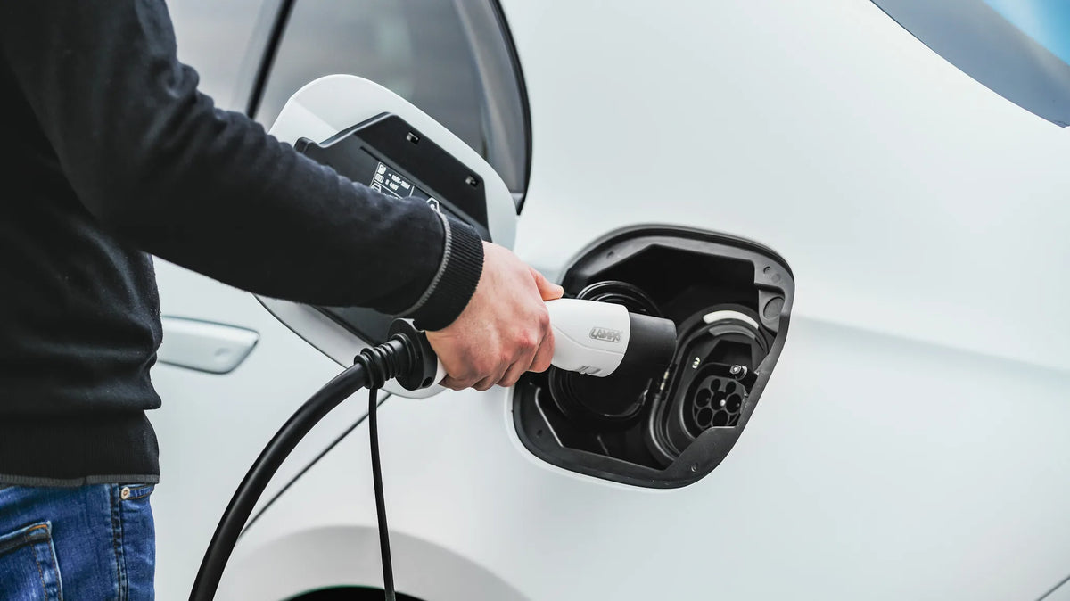 Cavo ricarica per veicoli elettrici - Trifase montato sul veicolo, vista 8
