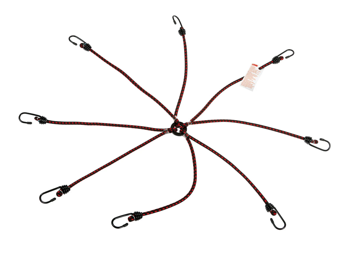 Corda elastica ragno 8 ganci - Ø 10 mm su fondo bianco