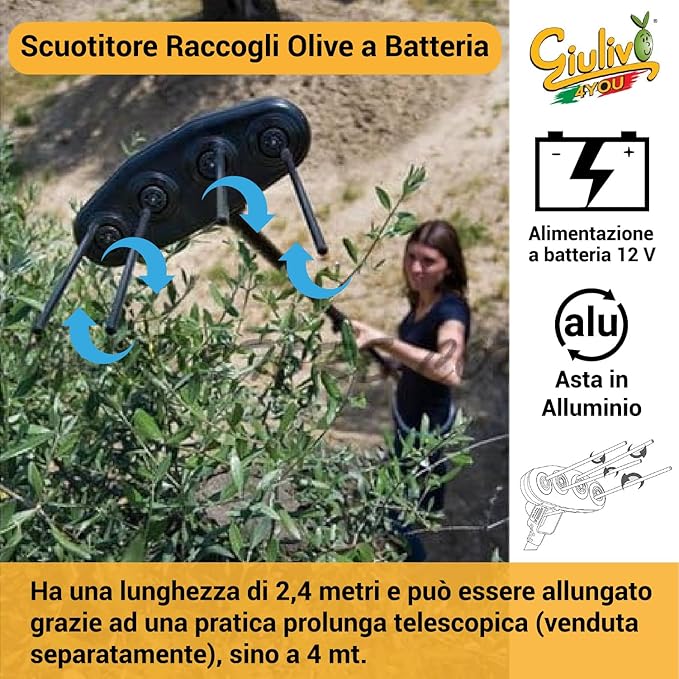 Abbacchiatore elettrico - "Giulivo 4You" - motore 12v