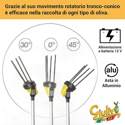 Abbacchiatore elettrico - "Giulivo 4You" - motore 12v