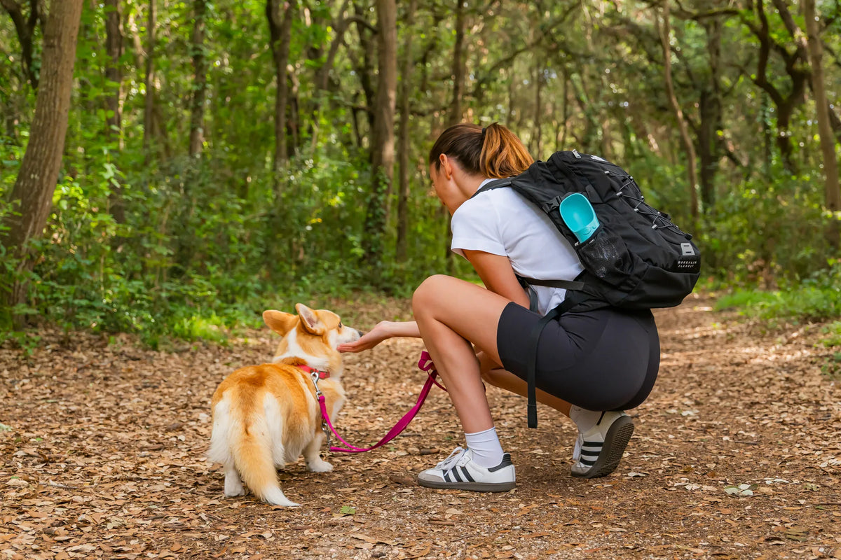 Pet-bottle, abbeveratoio da viaggio per animali - 350 ml montato sul veicolo