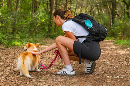 Pet-bottle, abbeveratoio da viaggio per animali - 350 ml montato sul veicolo