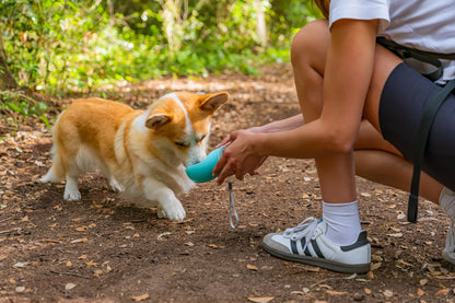 Pet-bottle, abbeveratoio da viaggio per animali - 350 ml montato sul veicolo