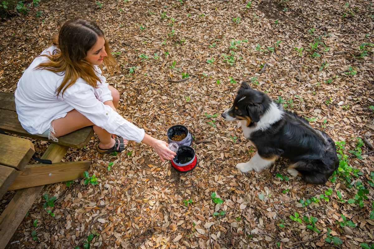 Pet Bowl, doppia ciotola da viaggio per animali - 1100+1400 montato sul veicolo