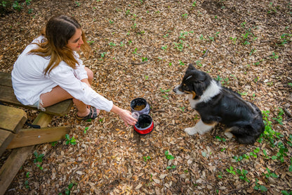 Pet Bowl, doppia ciotola da viaggio per animali - 1100+1400 montato sul veicolo