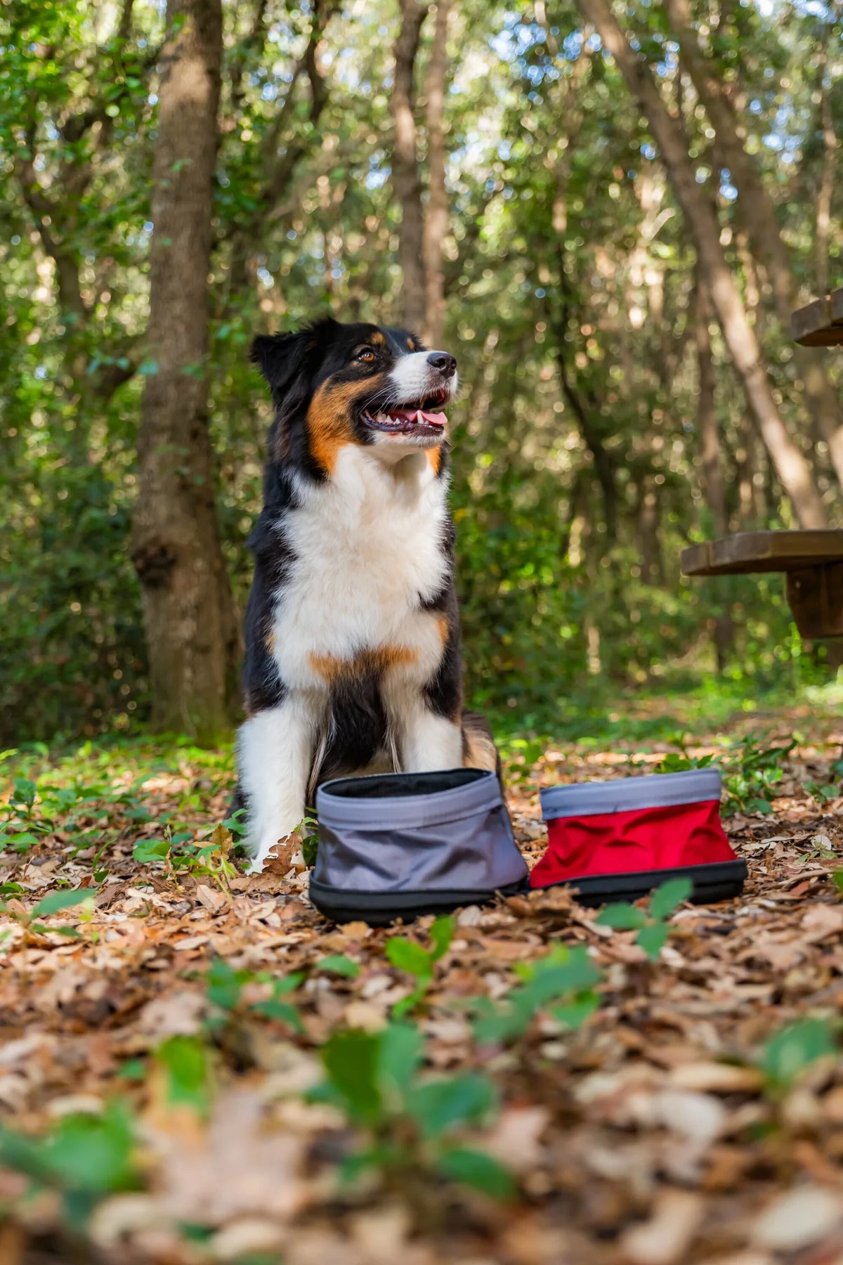 Pet Bowl, doppia ciotola da viaggio per animali - 1100+1400 montato sul veicolo