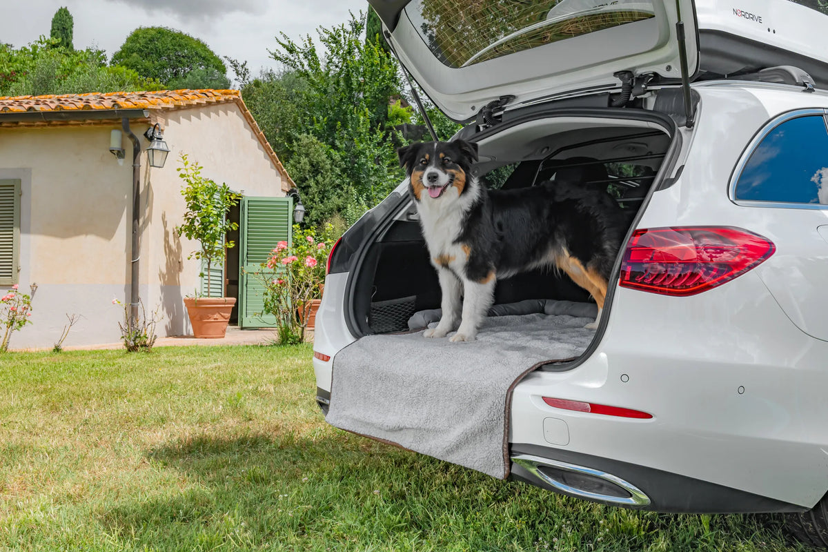 Pet Mat 3 in 1, lettino, tappeto baule e protezione paraurti montato sul veicolo