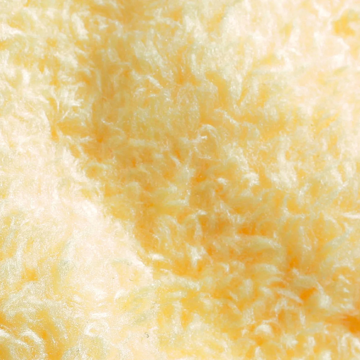 Pro-Clean - 40x40 cm su fondo bianco, vista 10