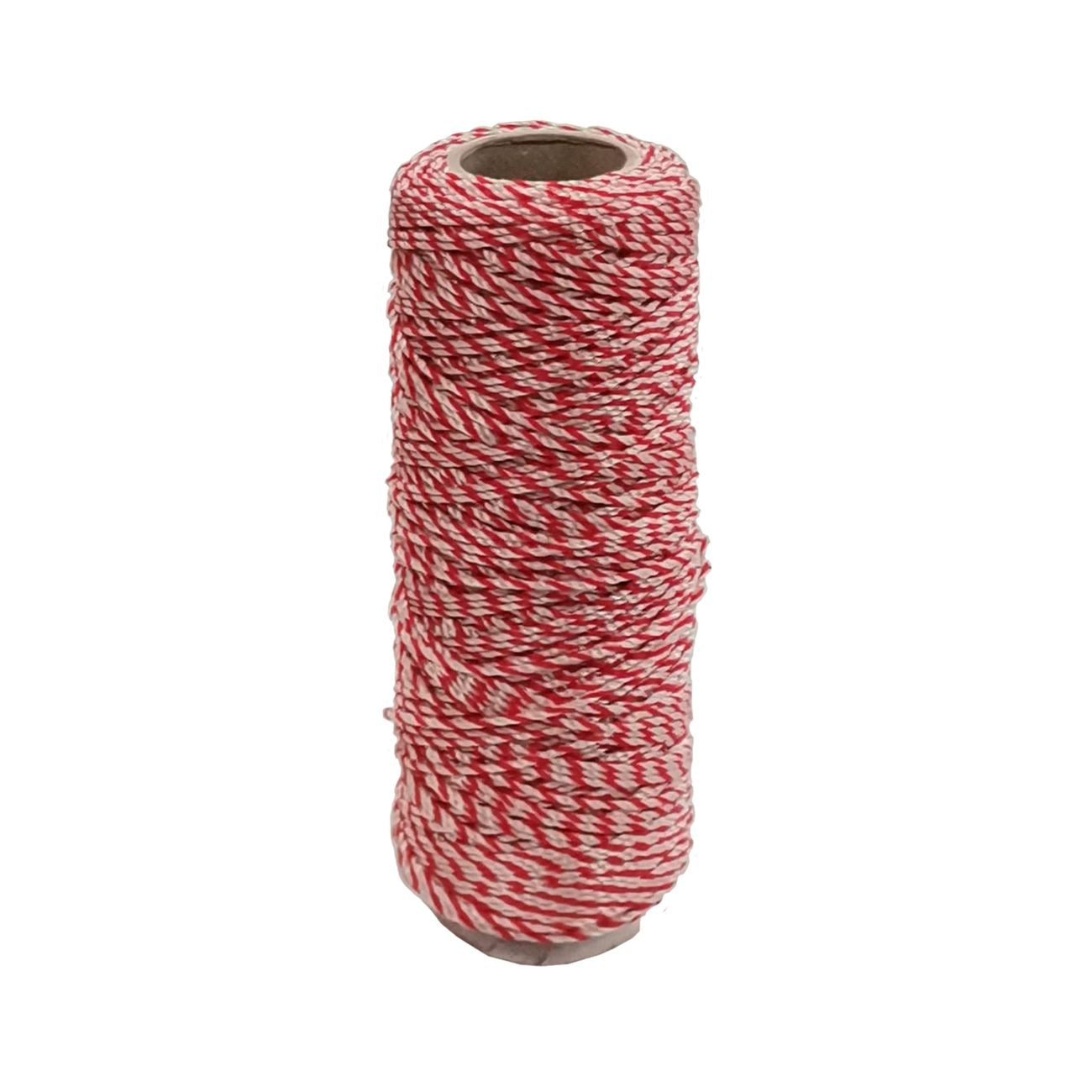 Lenza x muratori in pp bianco/rosso mt.100