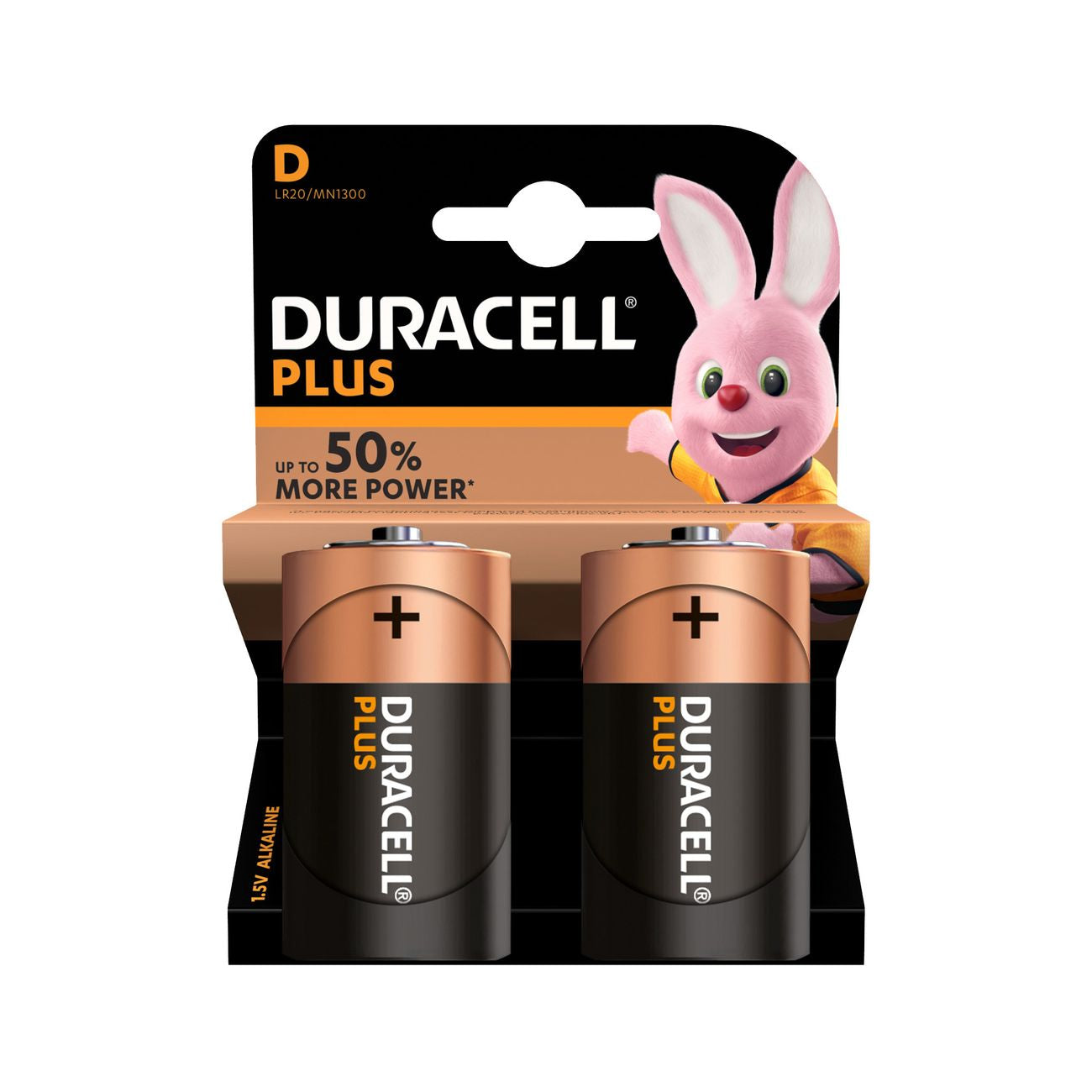 Duracell pila alcalina torcia mn1300 pz.2 - 10 bl