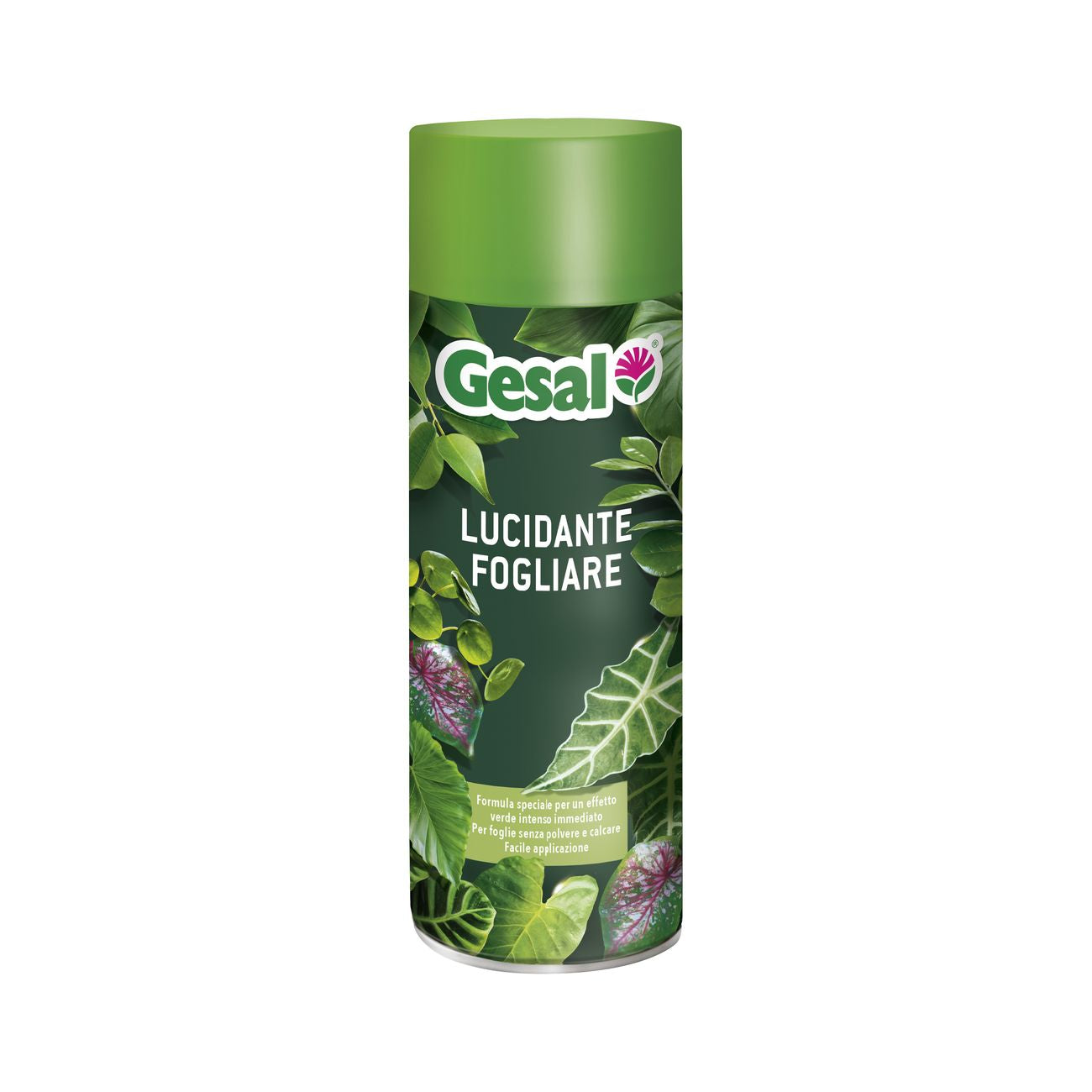 Gesal lucidante fogliare ml.250 - 24 pz