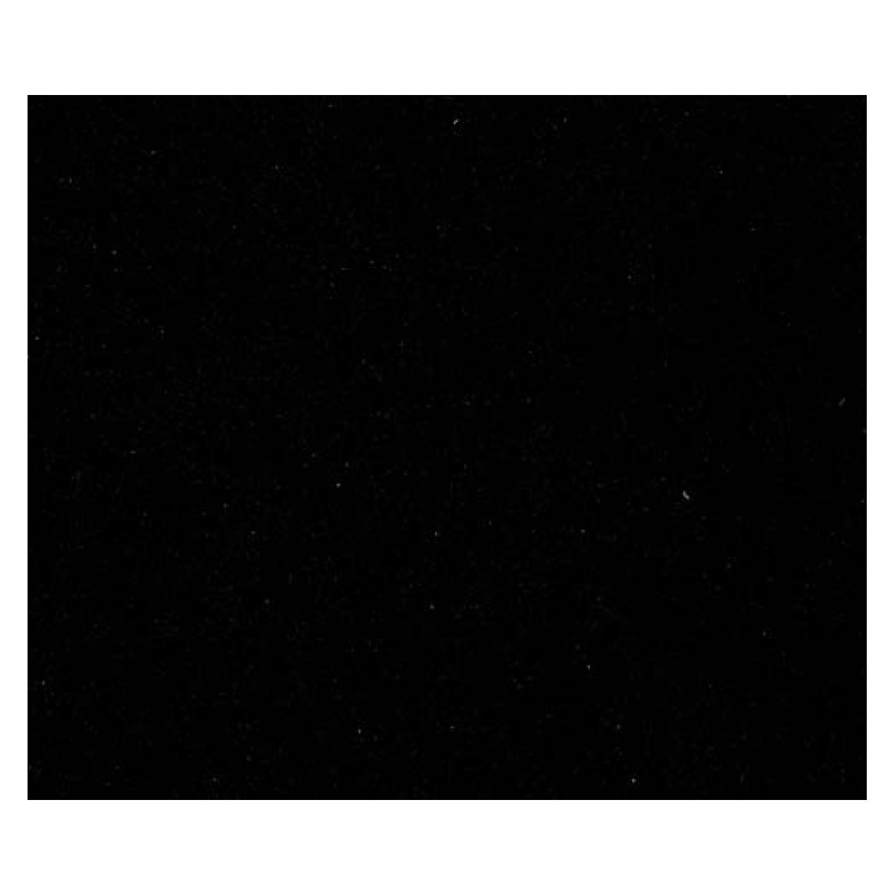 Velluto adesivo d-c-fix nero  mt. 5 cm.45