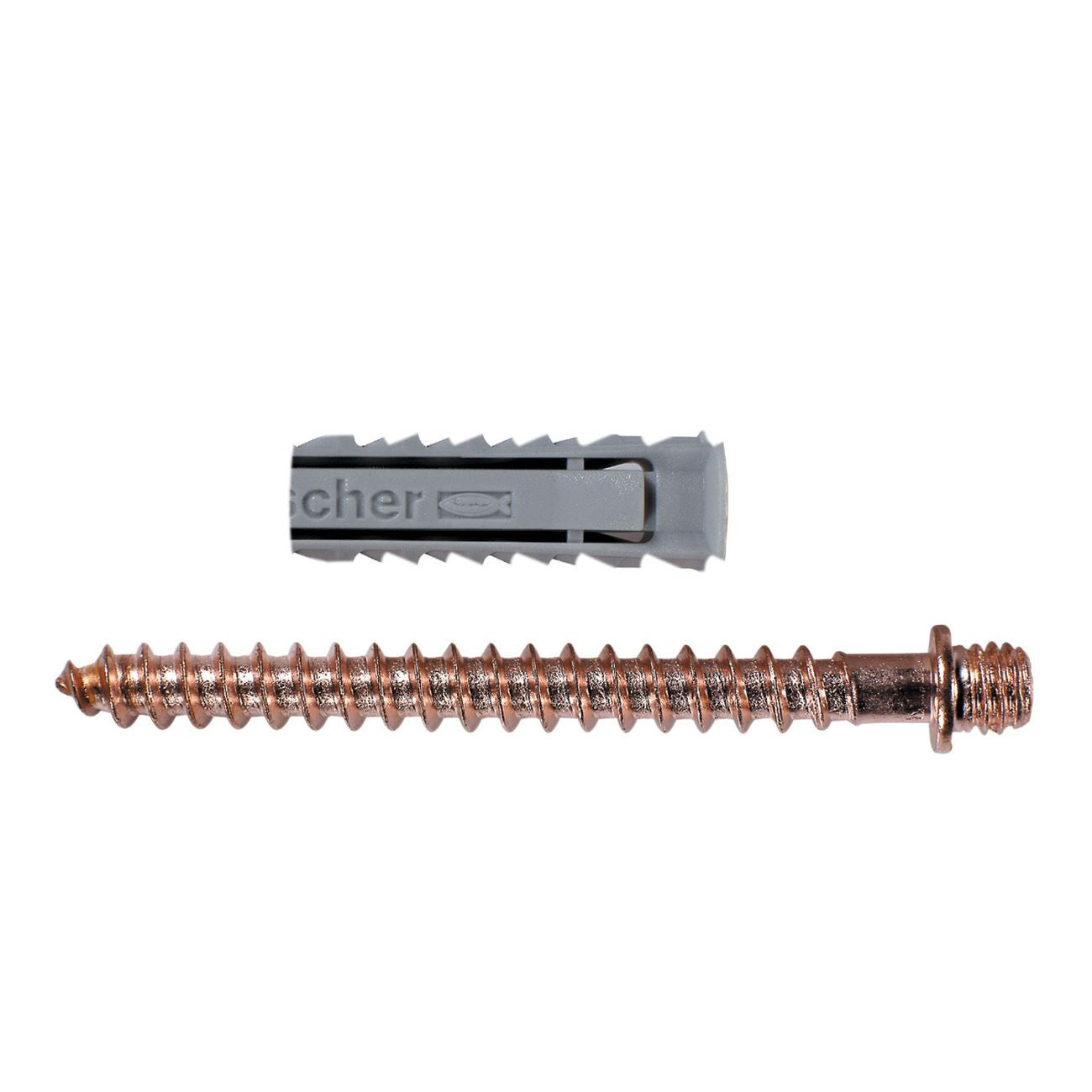 Sc fischer tasselli x collari s8dv (pz.5)