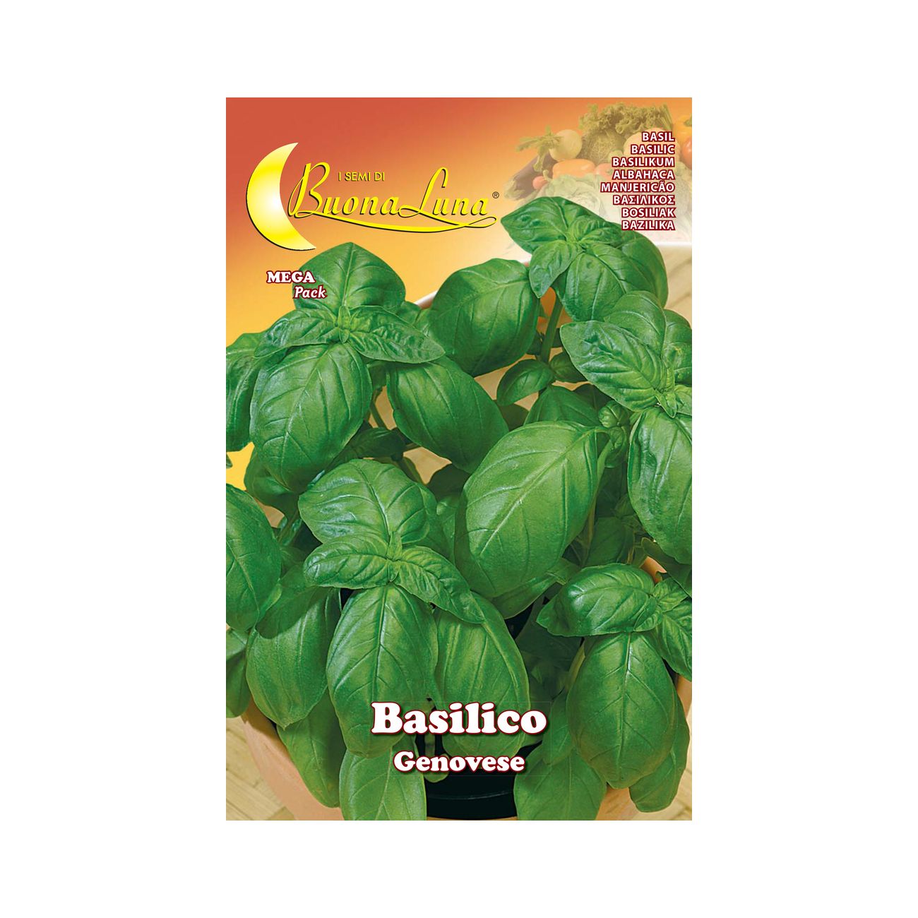 Semi orto basilico genovese - 10 pz