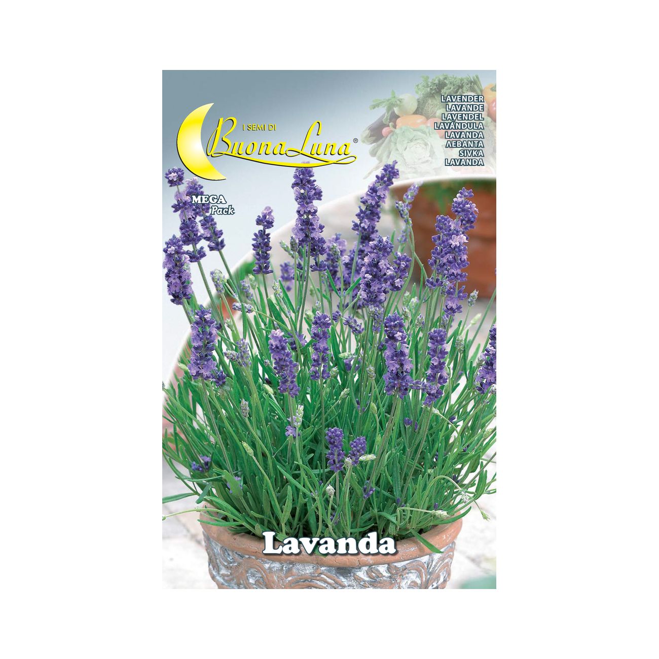 Semi orto lavanda