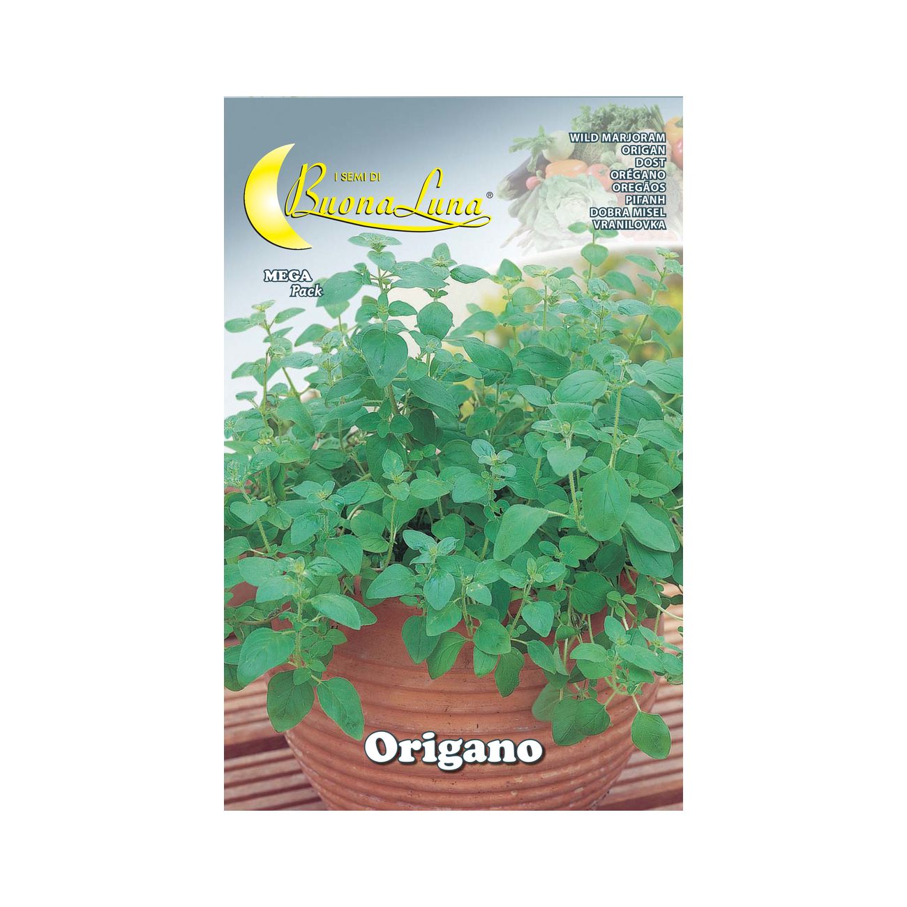 Semi orto origano - 10 pz