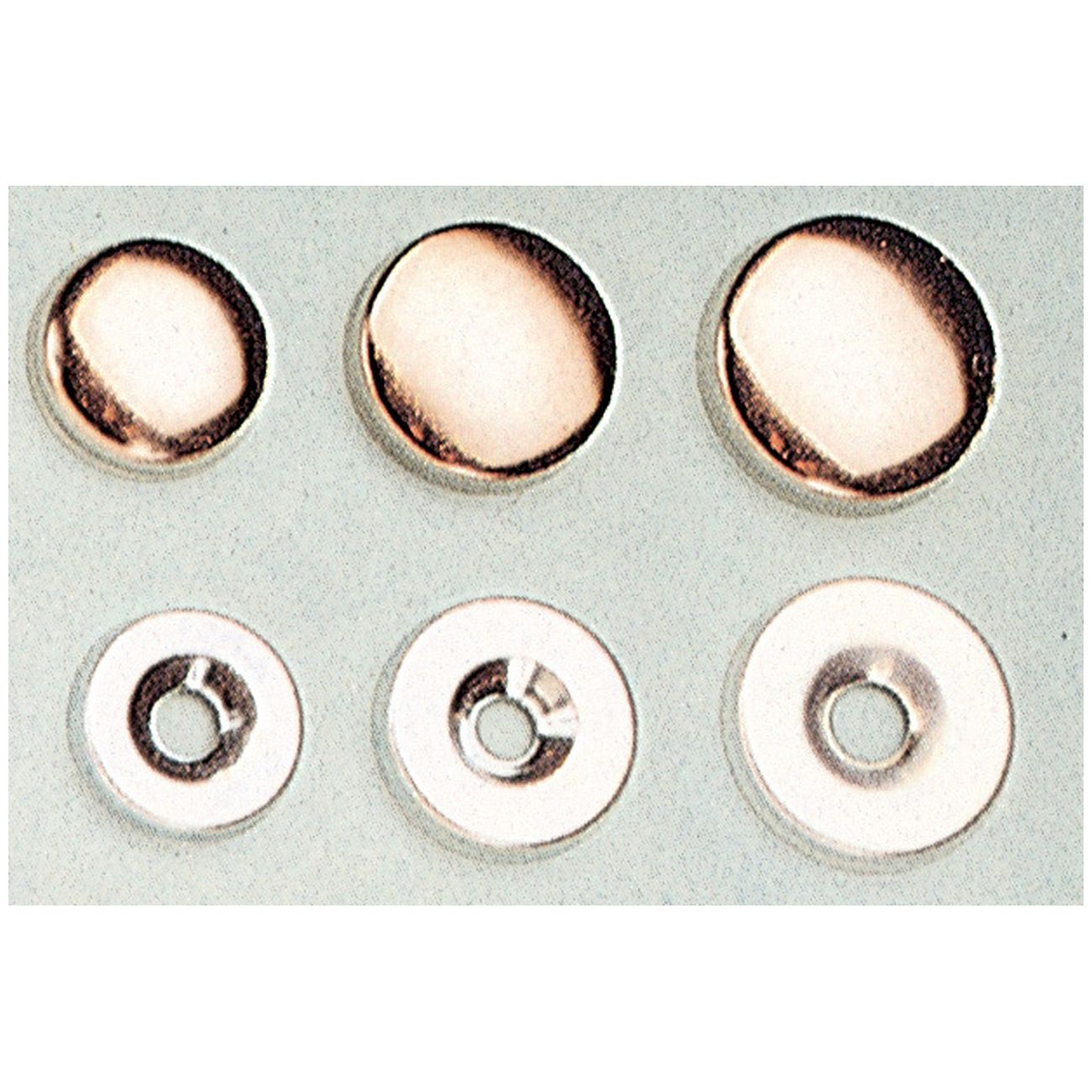 Sc borchia coprivite ottone lucido 16 mm da 12 pz - 5 conf.