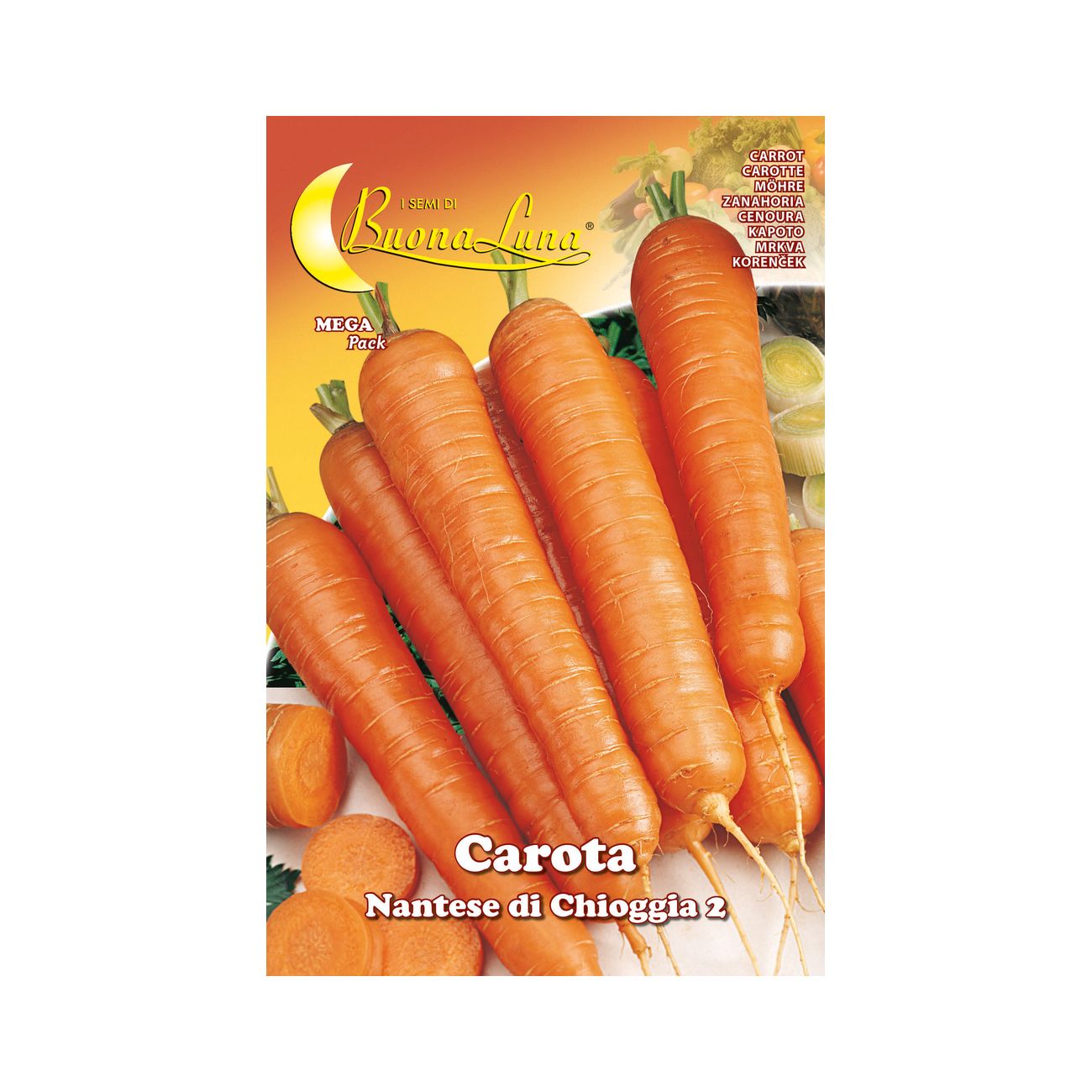 Semi orto carota di chioggia - 10 pz