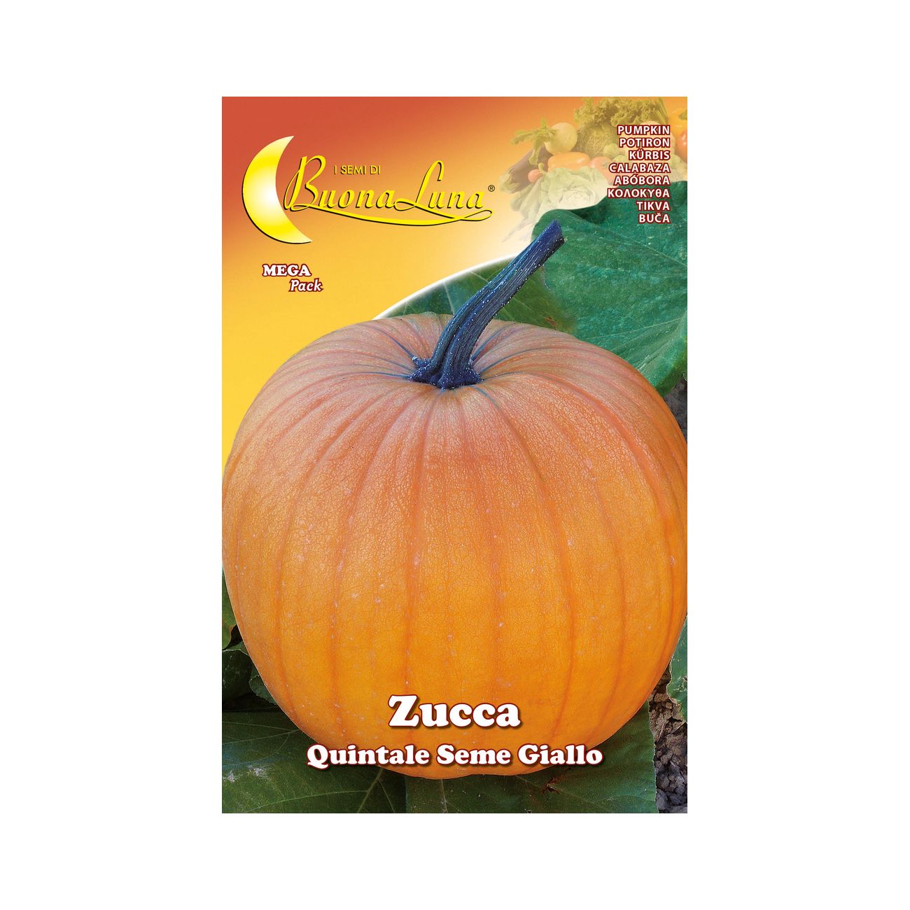 Semi orto zucca quintale - 10 pz