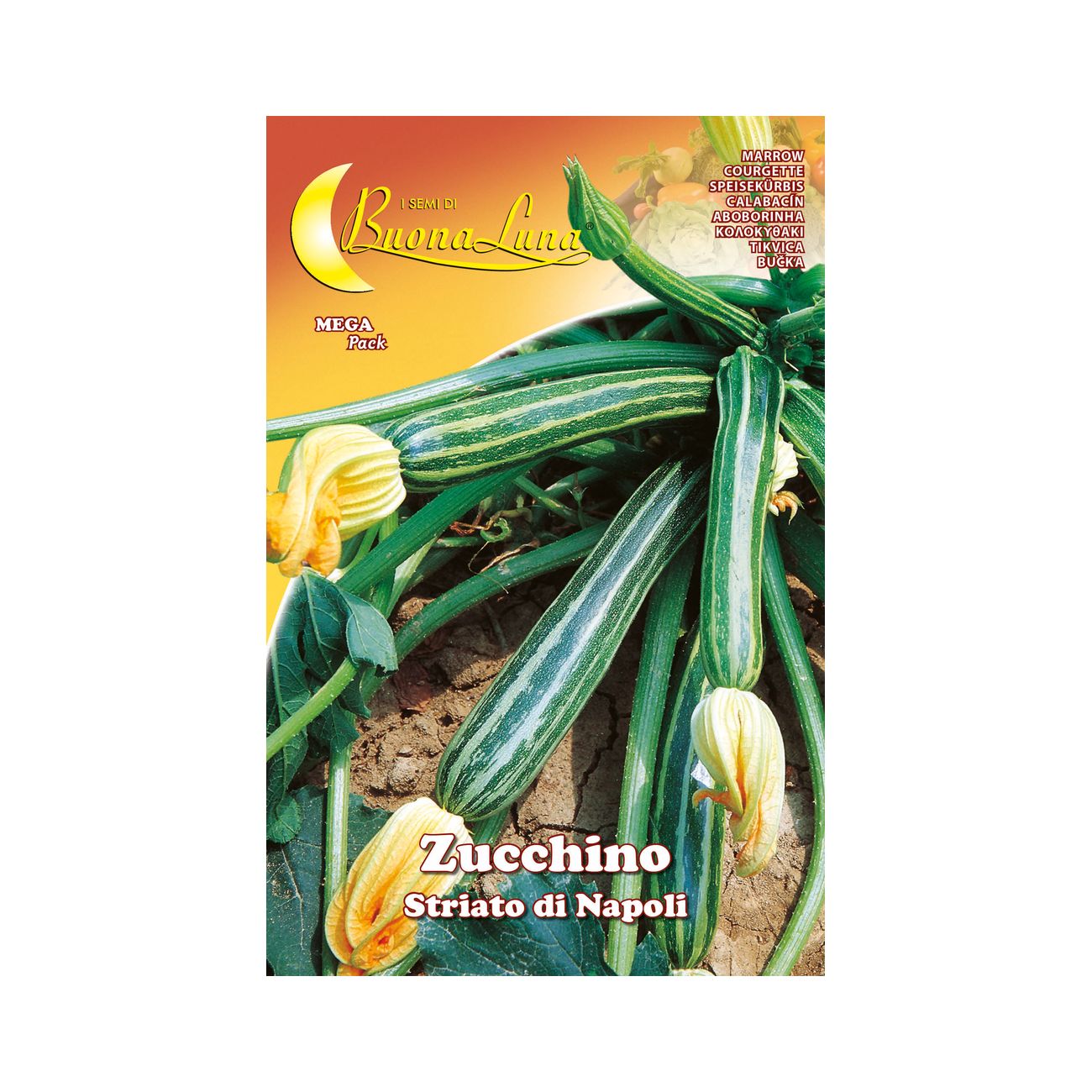 Semi orto zucchino striato napoli - 10 pz