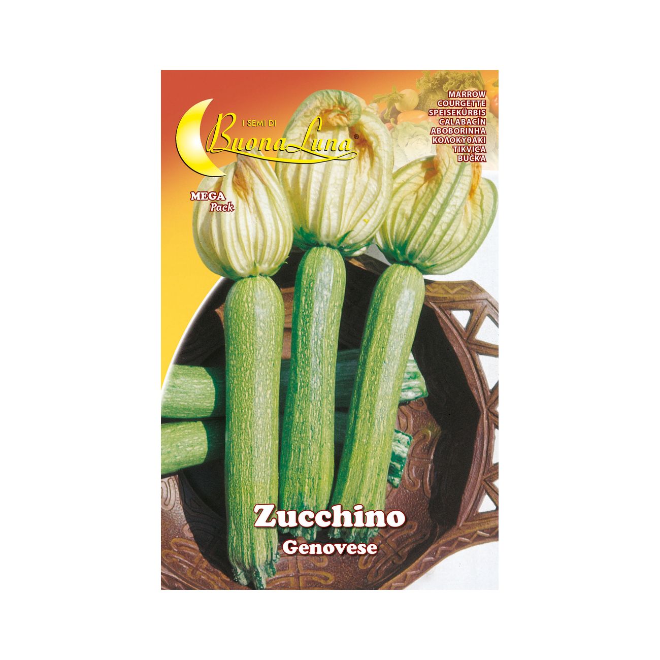 Semi orto zucchino genovese - 10 pz