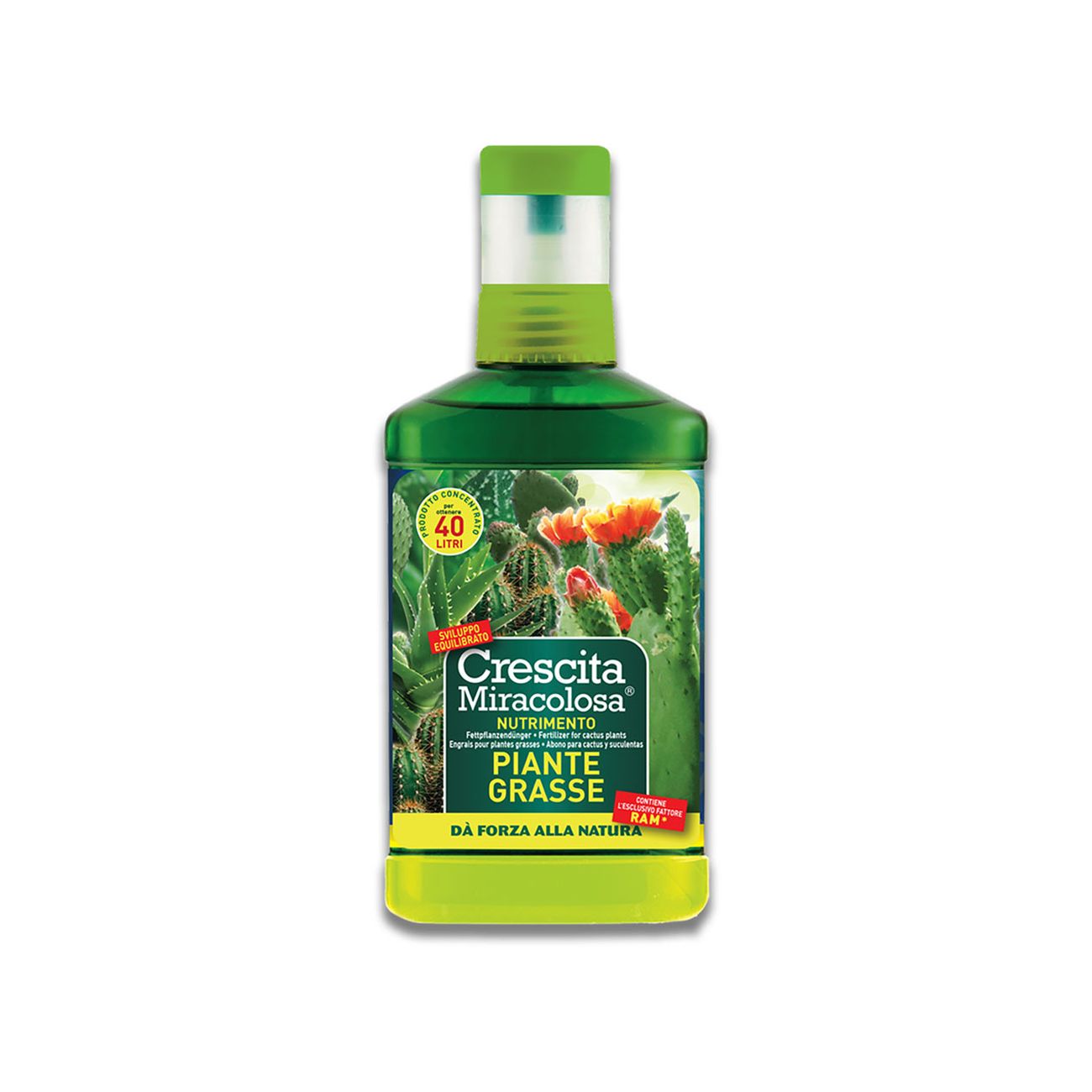 Concime liquido 'piante grasse' ml 200
