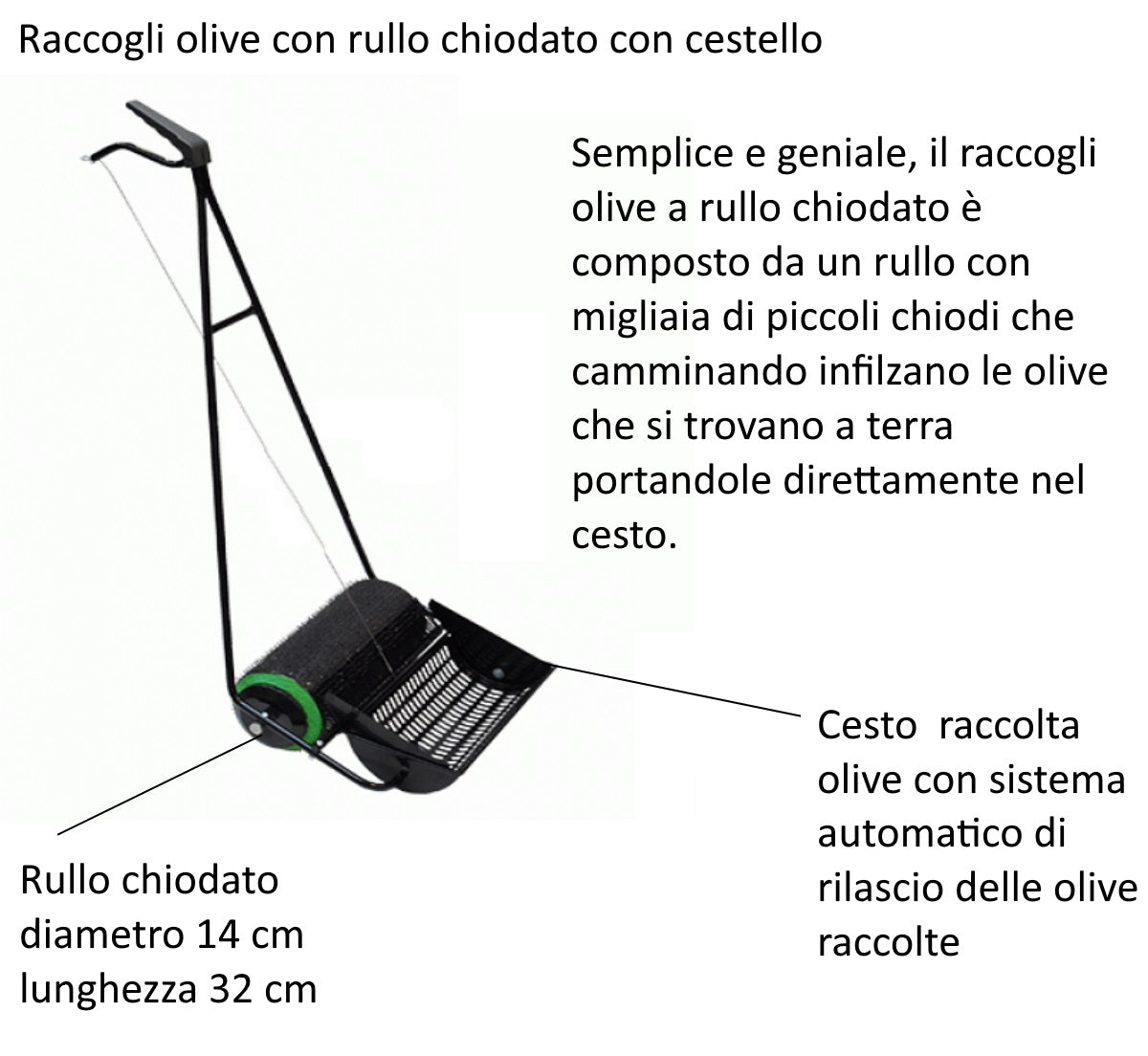 Rullo raccogli olive - Rac 4 - cm 35  