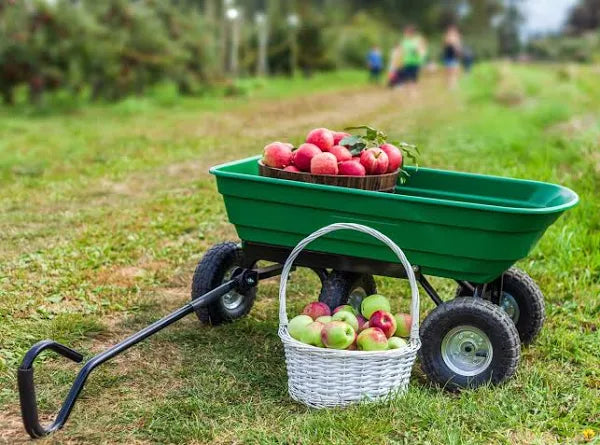 Carrellino da giardino ribaltabile 'tippy' capacità vasca 75 lt