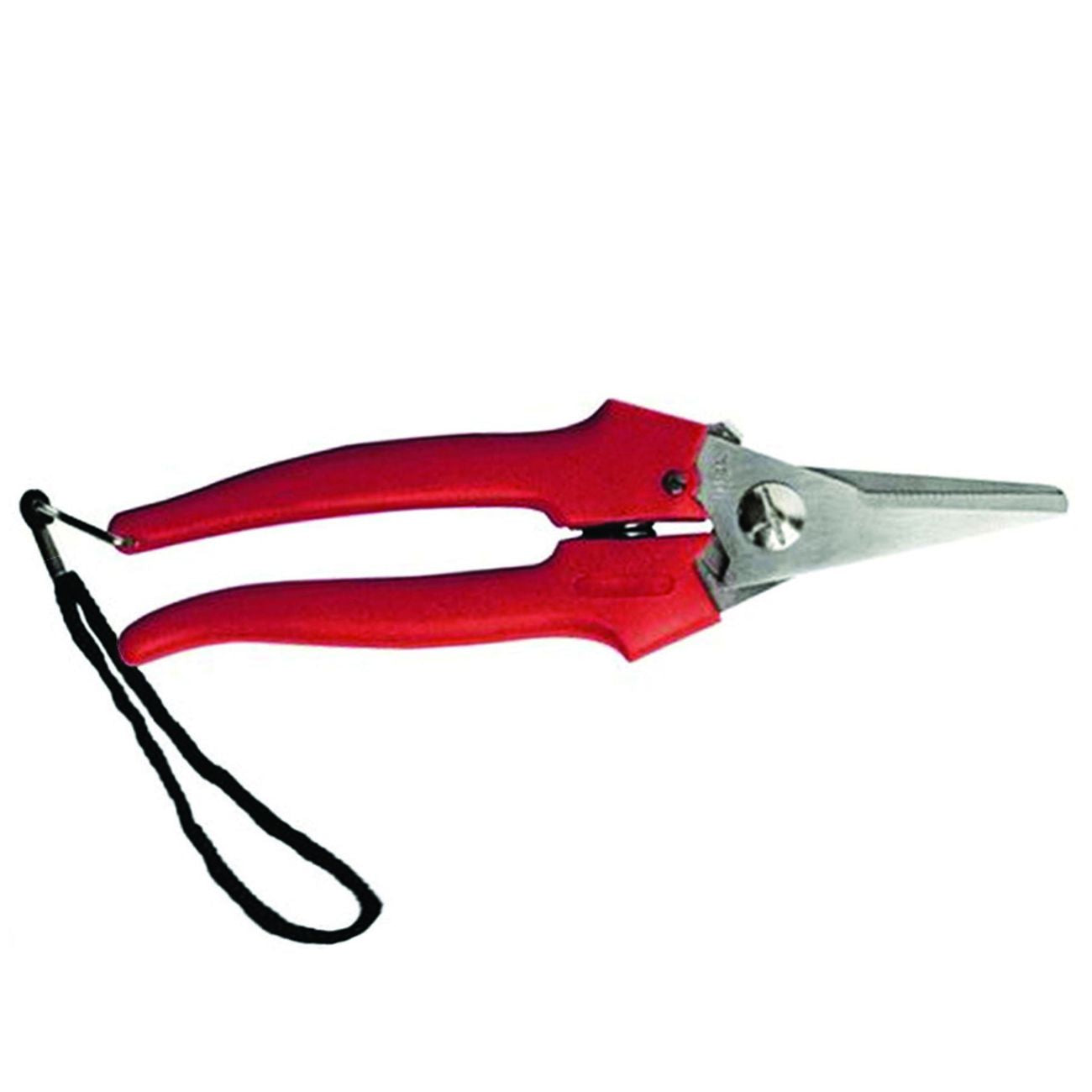 Forbice raccolta lama lunga 31327 - cm.19 - 12 pz