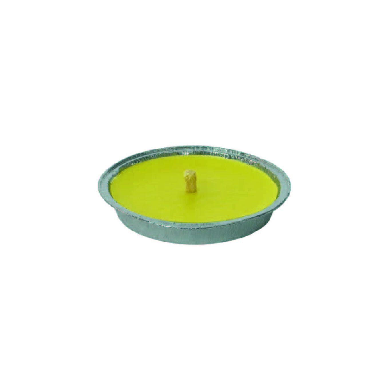 Citronella Piccola In Ciotola Di Alluminio - ø cm.11x2h. - 60 pz