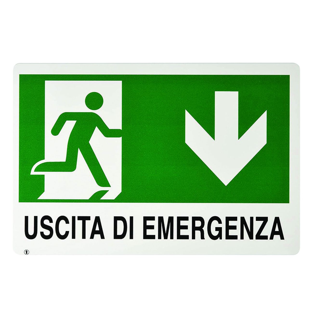 Cartello uscita di emergenza - cm.30x20h. - 10 pz