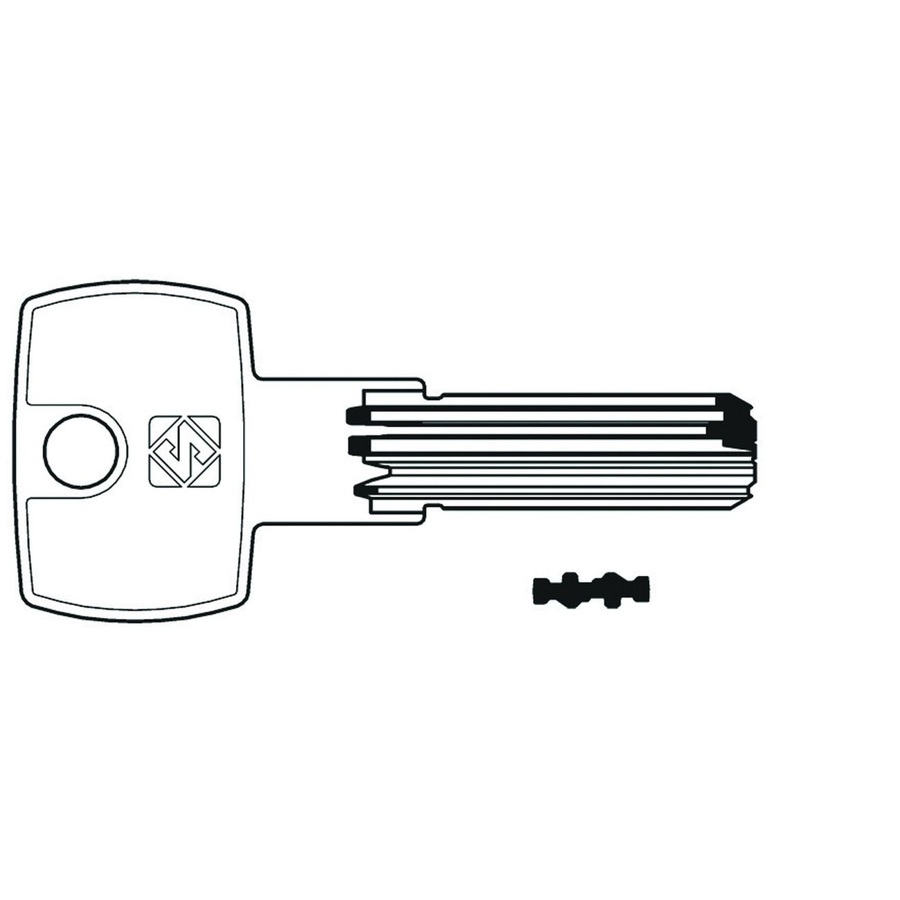 Chiavi punzonate per cilindri potent 6 spine pt9 - pt9 - 10 pz