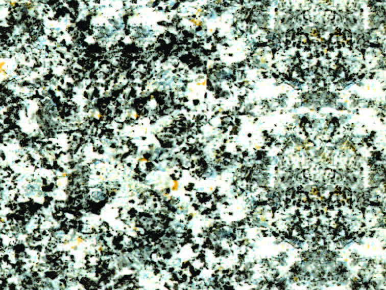 Plastica adesiva granito grigio (280-3162) - cm.45h. in rotoli da mt.15 ALKOR